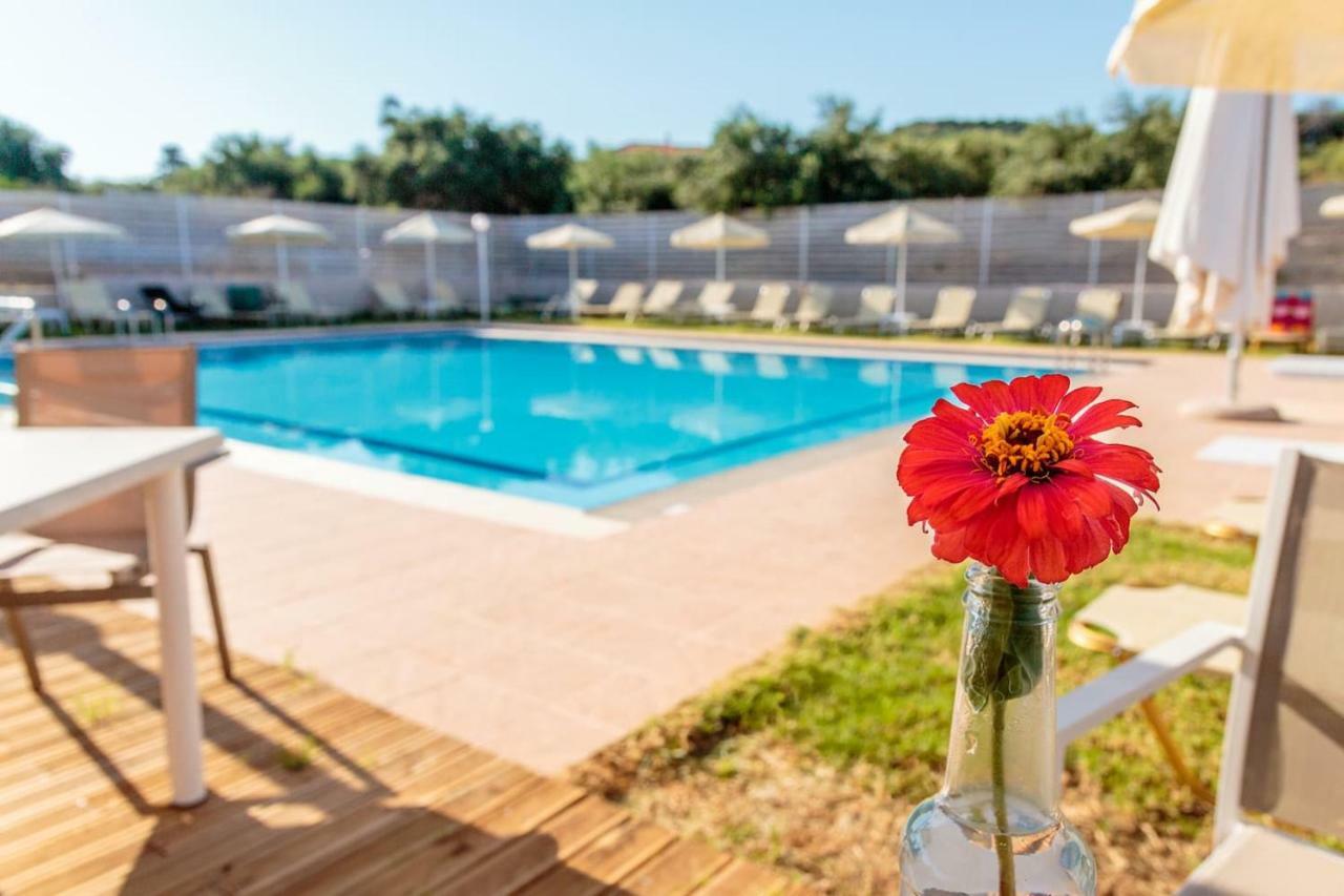 Ferienwohnung Charming And Comfy House Agia Marina Exterior foto